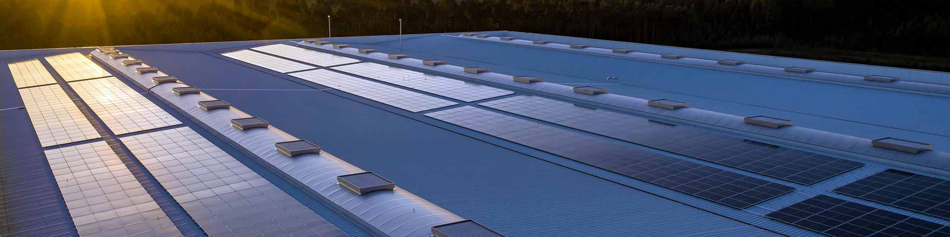 This is a the main heading